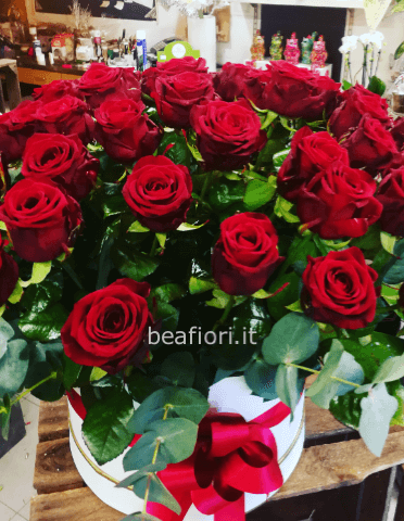 50 rose rosse in box