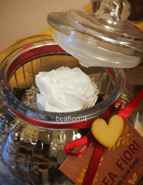 Rosa stabilizzata in vaso