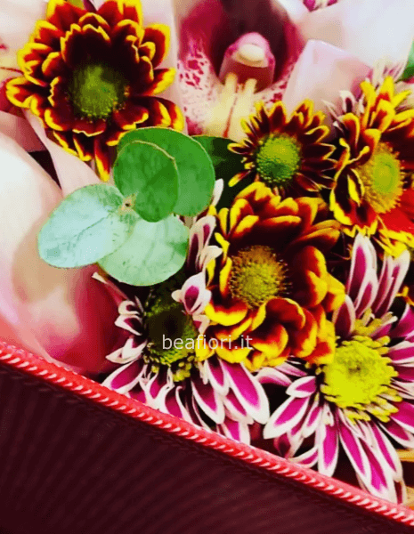 Flowers box con orchidea