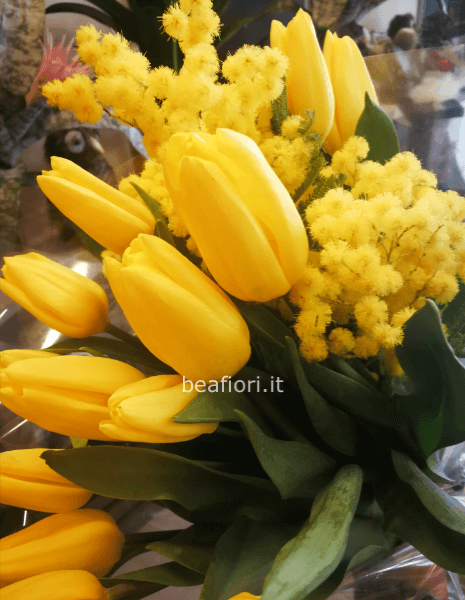 Tulipani gialli più mimosa
