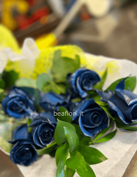 Rosa blu