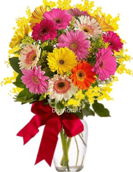 Bouquet gerbere e mimosa