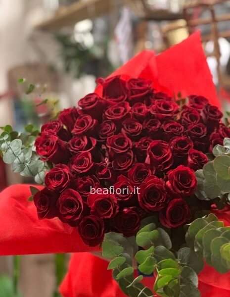 Rosa rossa