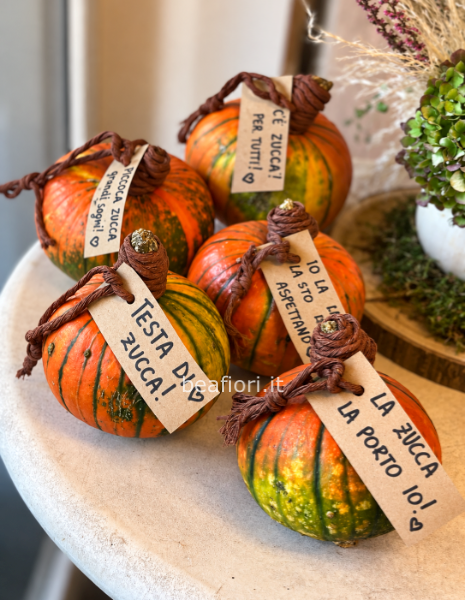 🎃 zucche d autunno!